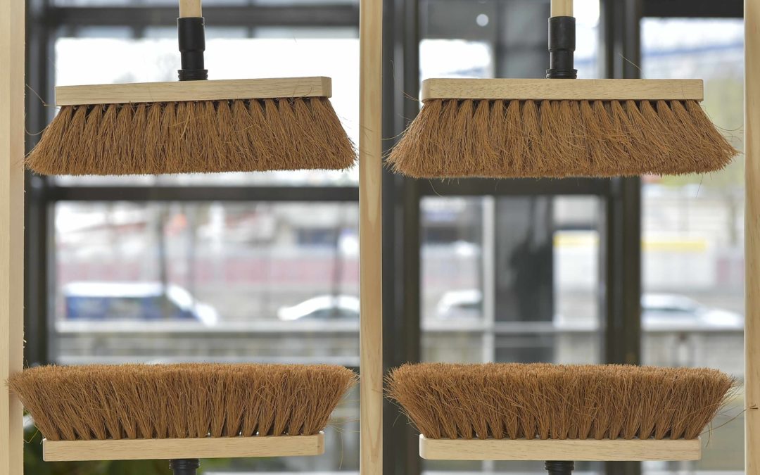 Les fibres : principale matière première des brosses